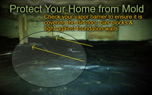 How to Protect Your Home or Condo from mold in Woodinville, WA