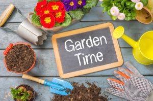 How to prepare a home garden in Woodinville, WA