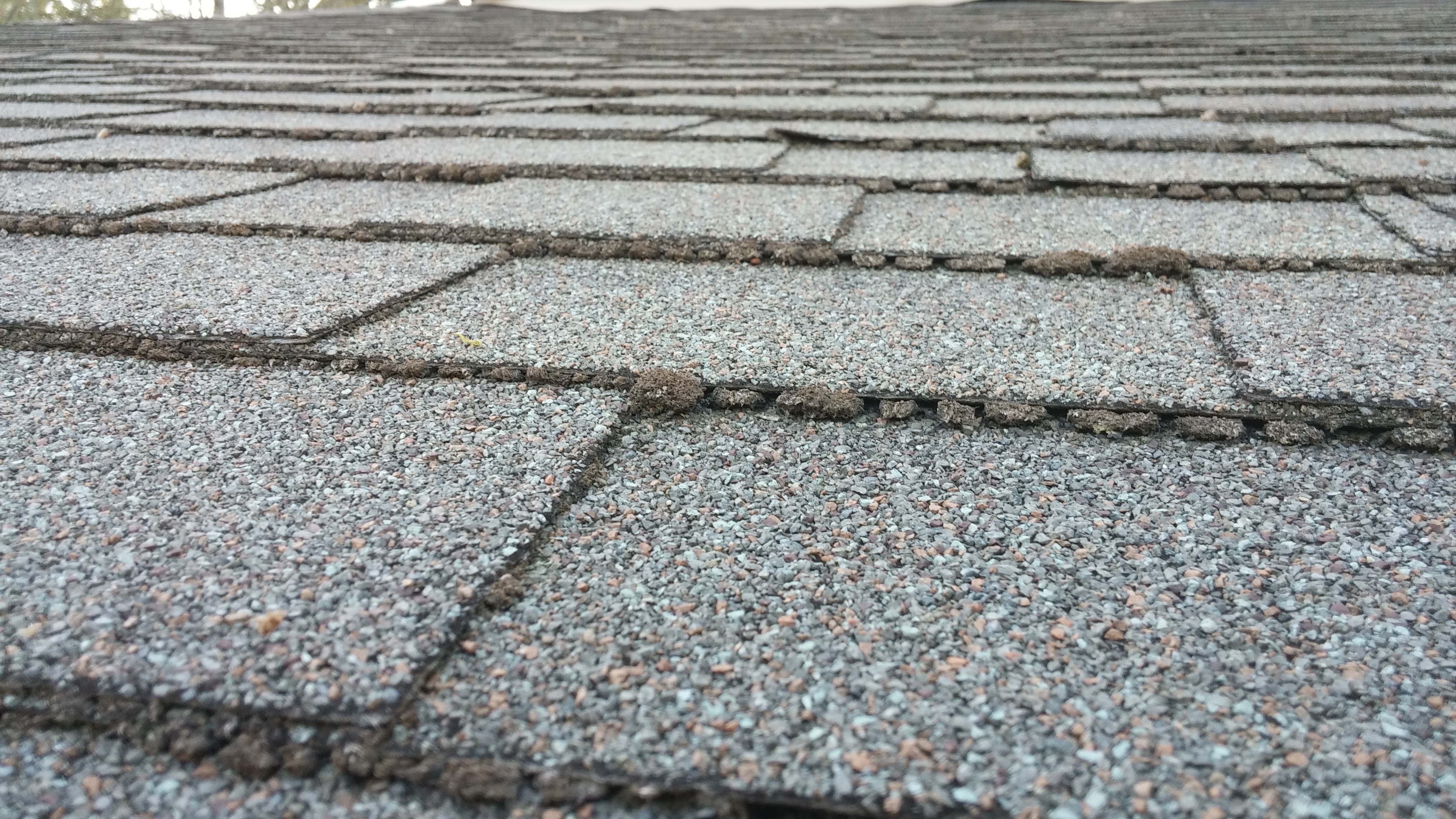 How to inspect your roof for damage in Woodinville, WA