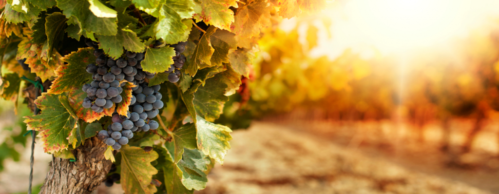 Woodinville Insurance Agency