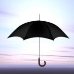 Umbrella Insurance Policy in Woodinville, WA