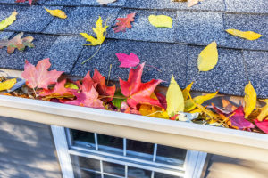 Fall Home Maintenance Checklist for your Woodinville, WA home