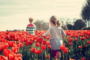 Spring Activities to Consider in Woodinville, Washington